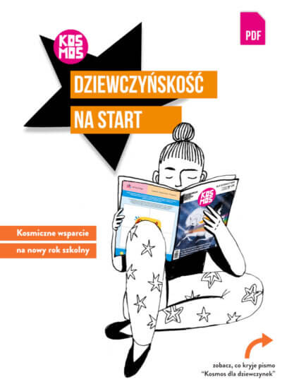 Koszyk