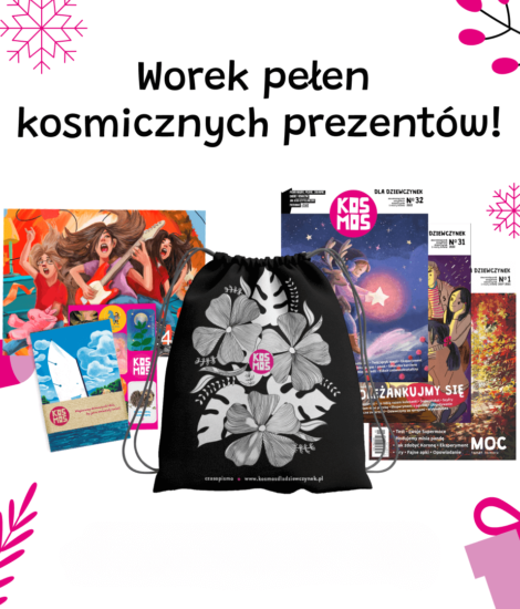 Świąteczna paczka